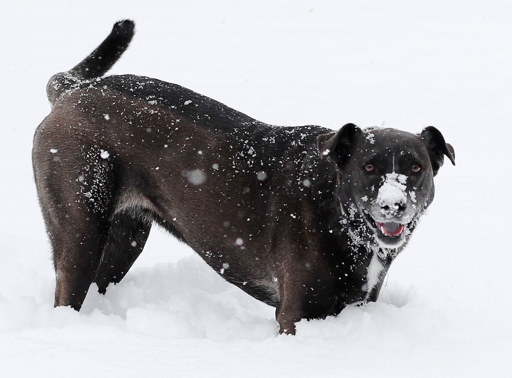 Snow Day